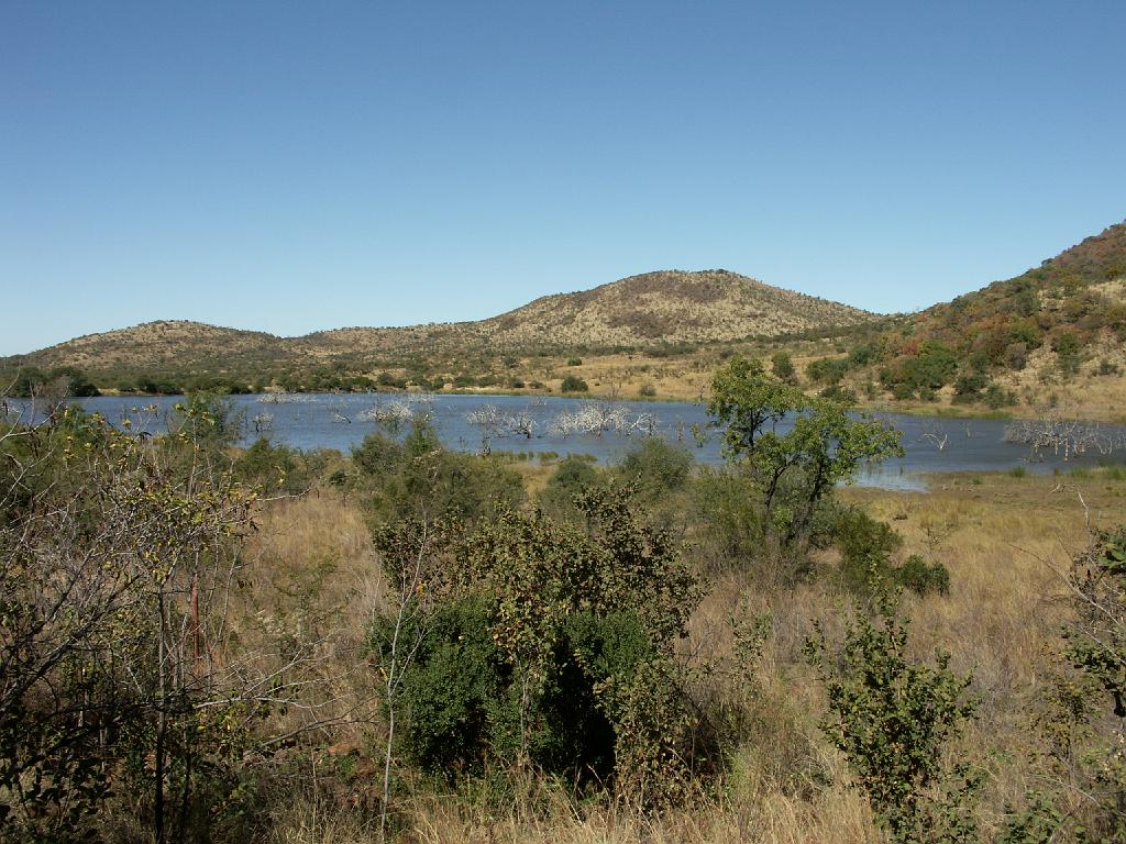 090517_Pilanesberg 101.jpg